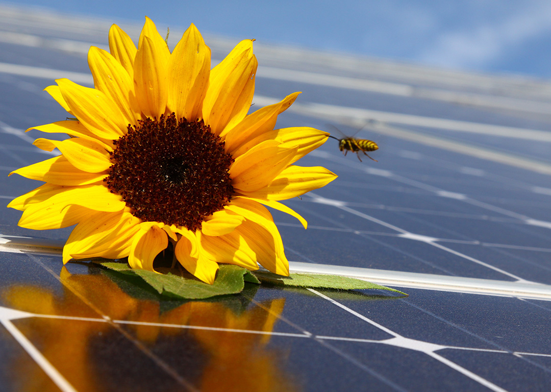 betrieb-solarpark